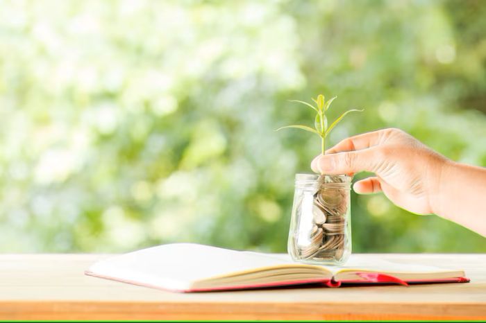 Investing in Mutual Funds