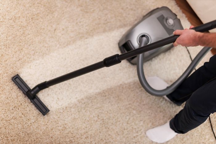Pet Odor Removal