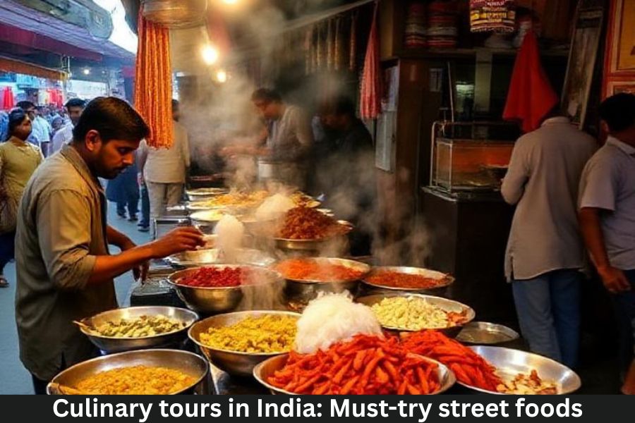 Culinary tours in India: Must-try street foods