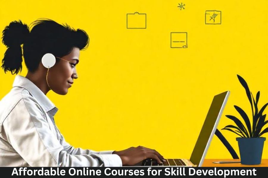 Affordable Online Courses for Skill Development